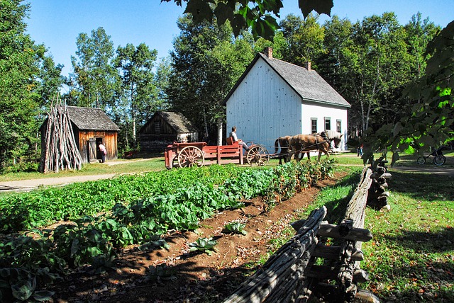 farming agriculture career